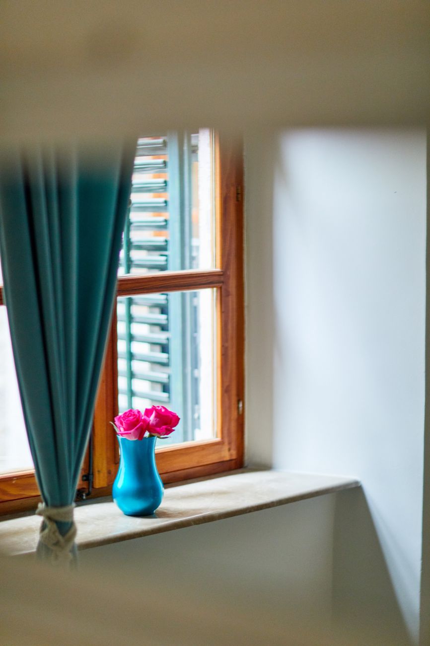 Kotor, Montenegro, window flower